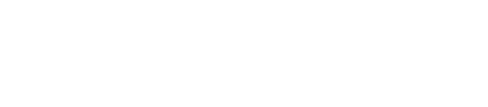 Essentials Logo